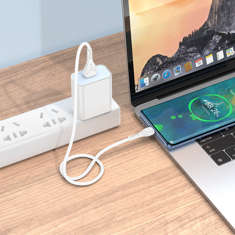 Hoco USB to USB-C Data and Charge Cable (0.5m) - SKmobile Canada