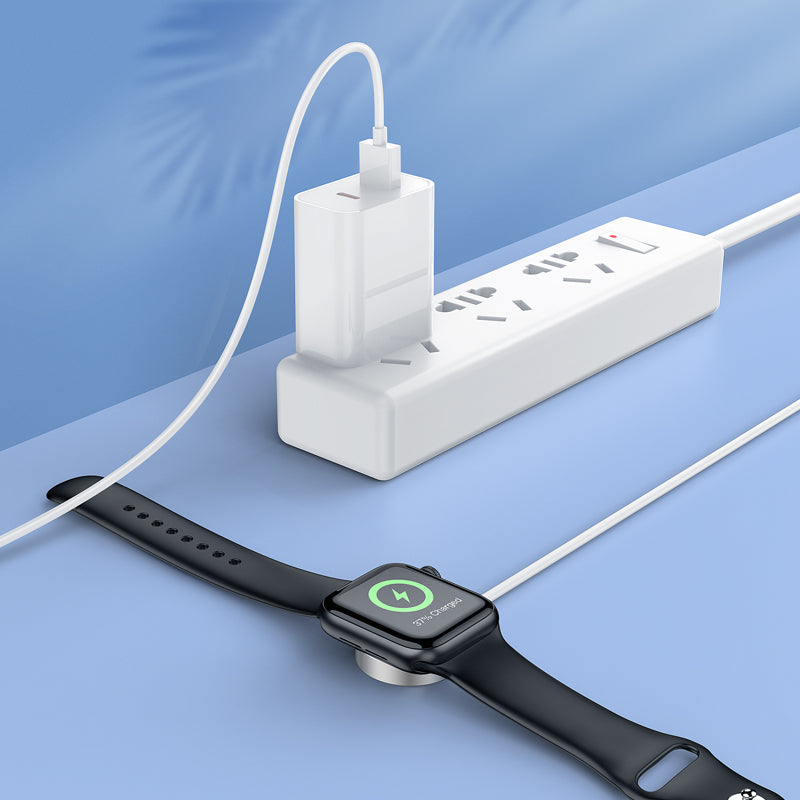 Chargeur de voyage de marque BASEUS (2 ports) avec câble de charge USB vers USB-C (1 m)