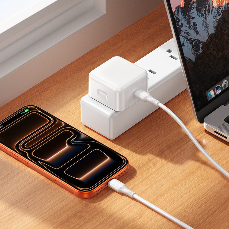 40W with Dynamic 60W USB-C GaN Fast Wall Charger Power Adapter