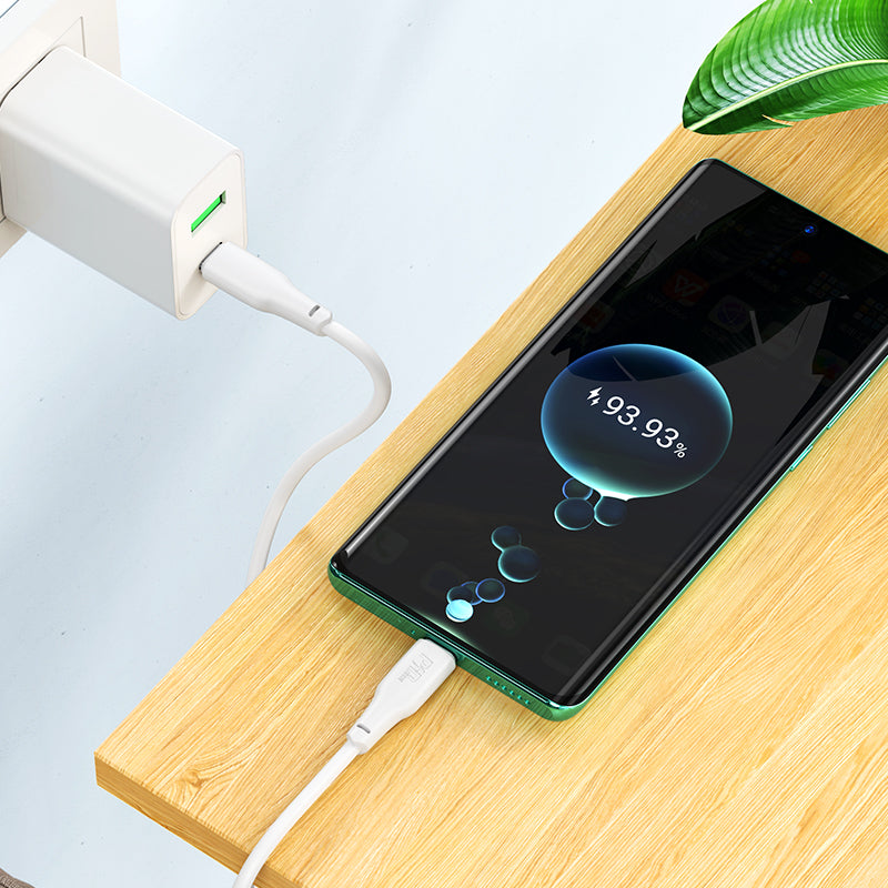 Hoco 100W USB-C to USB-C Data and Charge Cable (2m)